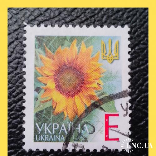 V- й  стандартный выпуск почтовых марок Украины 2004 г. -  "Подсолнечник".