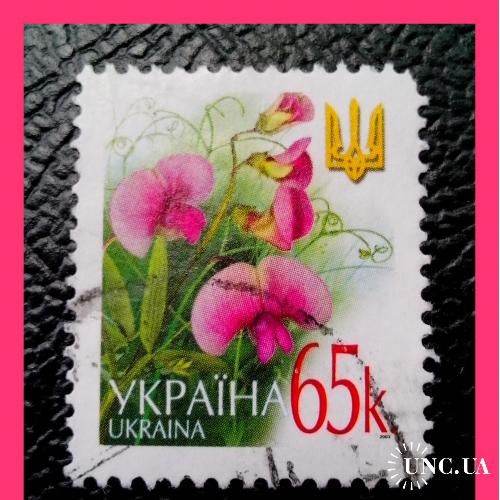 VI- й  стандартный  выпуск  почтовых  марок  Украины 2003 г. - "Душистый горошек" .