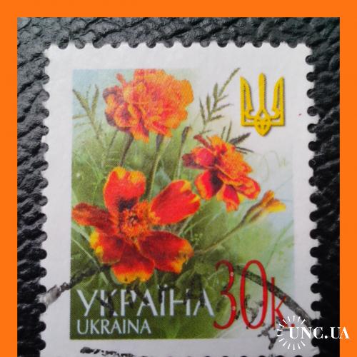 VI- й  стандартный  выпуск  почтовых  марок  Украины  2004 г. -  "Бархатцы".