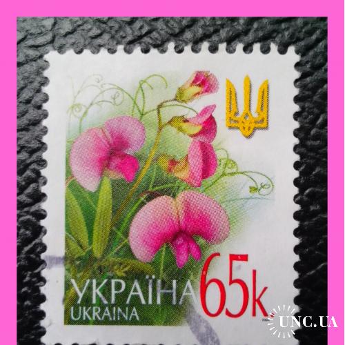 VI- й  стандартный  выпуск  почтовых  марок  Украины  2004 г. -  "Душистый горошек".