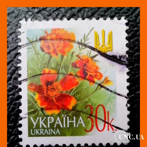 VI- й  стандартный  выпуск  почтовых  марок  Украины 2005 г. -  "Бархатцы".