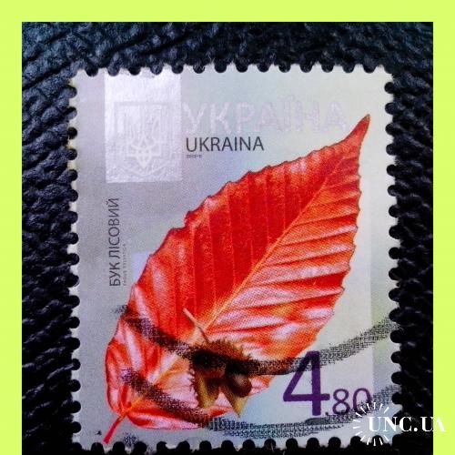 VIII-й  стандартный  выпуск  почтовых  марок  Украины  2012 / 2013  - II  г.г.  -  «Бук».