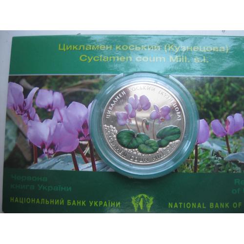 Україна.2 грн 2014 рік. Цикламен коський (Кузнецова) у сувенірній упаковці