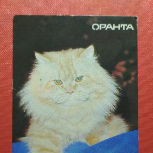 Календарик. Страховая компания. ОРАНТА.  1993. Кошки
