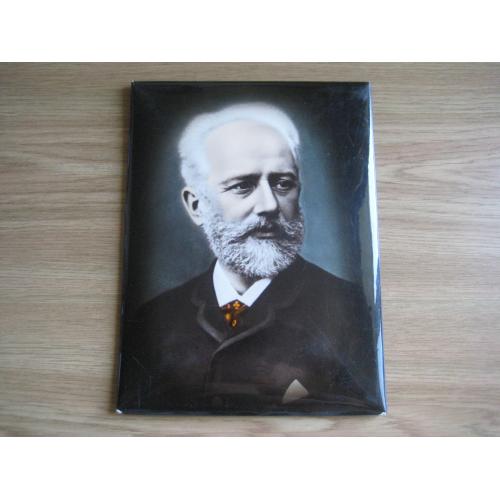 Фото-портрет П.І.Чайковського Музичний фонд CРCР 1960-1970 Формат:24х17,8см. Оригінал