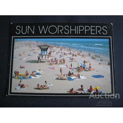 Открытка SUN WORSHIPPERS CALIFORNIA USA Foto by James Blank CROCKER Оригинал Чистая