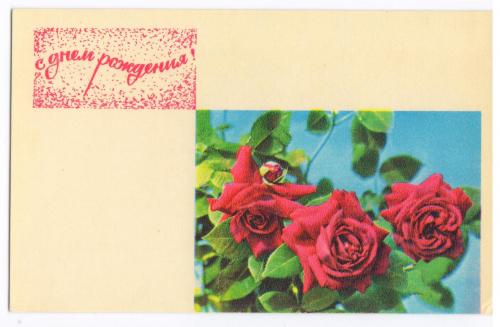 С днем рождения! Розы. Цветы. Фото Р.Папиньяна. М., Советский художник. 1968