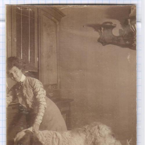 Старинное фото №107. Девушка с большой собакой. Интерьер. 1910-е. рдч  