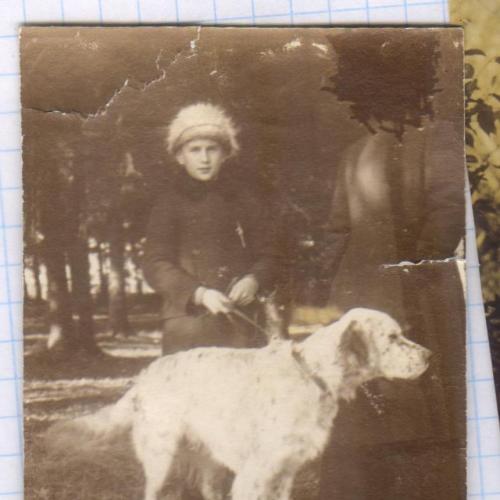 Старинное фото №146. Дети. Собака. ок.1910. рдч  