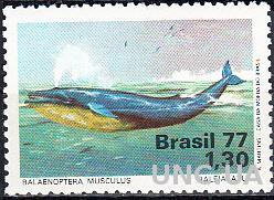 Бразилия 1977 морская фауна
