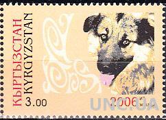 Киргизия 2006 фауна собака
