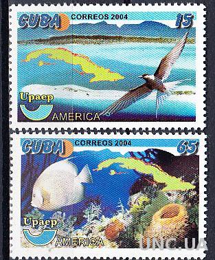 Куба 2004 фауна птицы рыбы