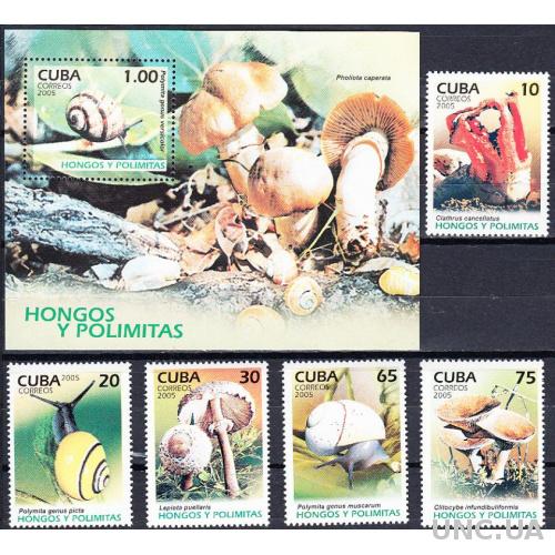 Куба 2005 фауна грибы