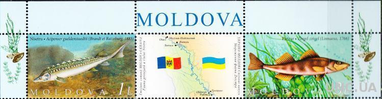 Молдова 2007 фауна Днестра рыбы Украина