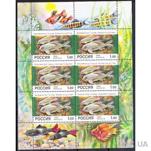 Марка Россия 1998 фауна аквариумные рыбы