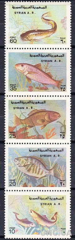 Сирия 1978 фауна рыбы