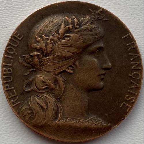 Франция медаль 1870 - 1940 год №557