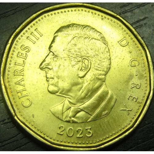 1 долар 2023 Канада (Чарльз III)