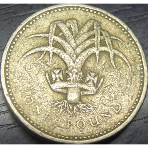 1 фунт 1985 Британія Цибуля