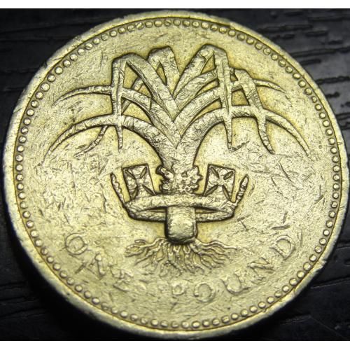 1 фунт 1990 Британія Цибуля