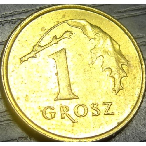 1 грош 2007 Польща