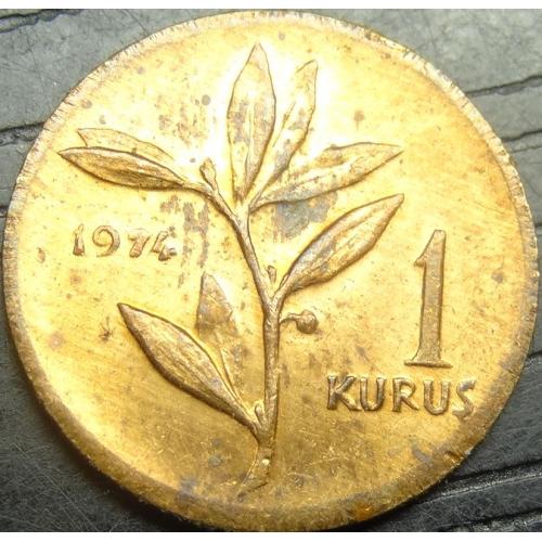 1 куруш Туреччина 1974 рідкісна