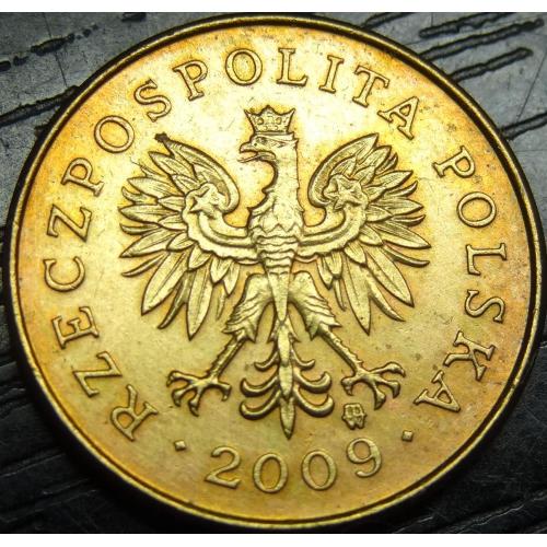 2 гроша 2009 Польща