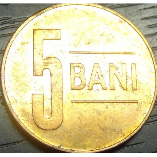 5 бані Румунія 2024