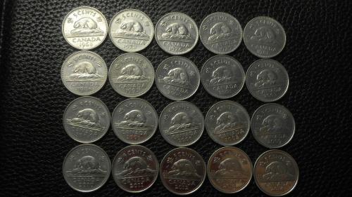 5 центів Канада (порічниця), 20шт, всі різні