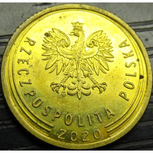 5 грошей 2020 Польща