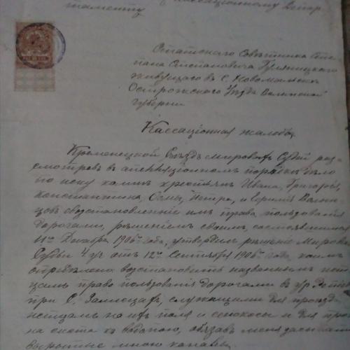 Кассационная жалоба 1906 г.