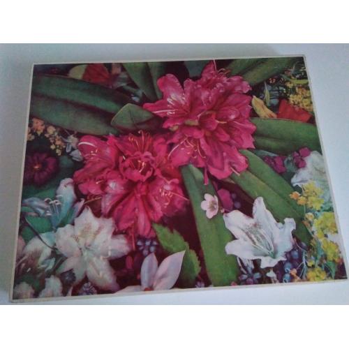 Спички.Сувенирный Набор-Ботанический Сад АН СССР.