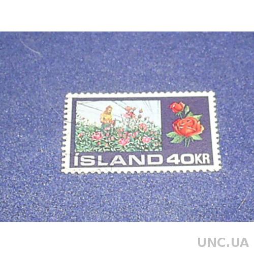 Исландия-1972 г.-Выращивание роз
