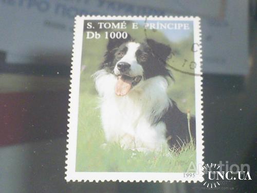 Сан-Томе и Принсипи-1995 г.-Собака 3 евро