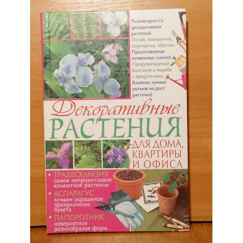 Декоративные растения для дома, квартиры, офиса