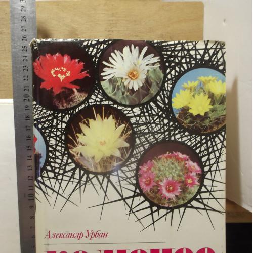 Урбан. Колючее чудо. Книга о кактусах. Братислава. Цветы. Комнатные растения
