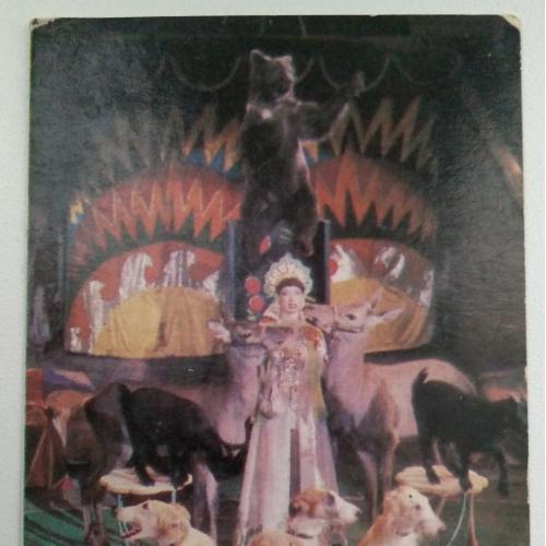 Календарик Ольга Ильина Цирк 1987 Собаки Медведь СССР