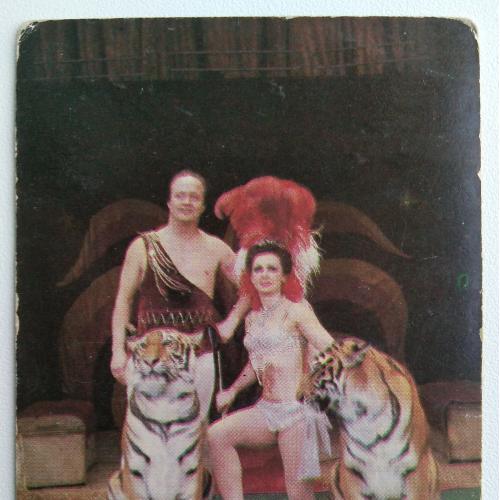 Календарик Советский цирк Долорес и Мстислав Запашные 1984 СССР Тигры