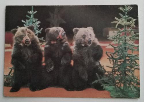 Календарик Три Медведя 1985 Цирк СССР Медведь Елка
