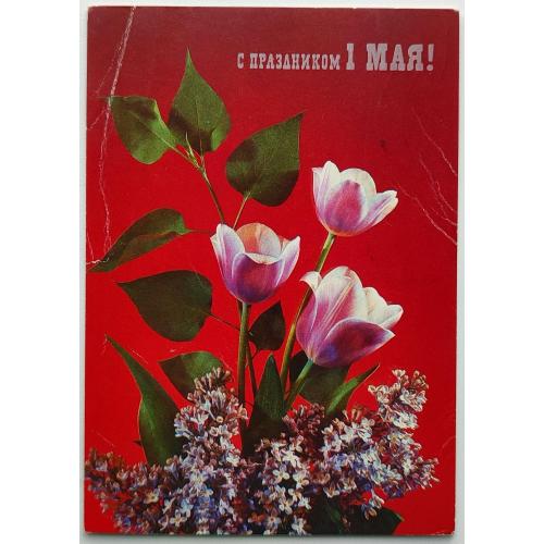 Открытка С праздником 1 Мая! Фото И. Дергилева Министерство связи СССР 1990г п/п