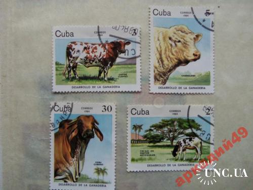 марки-Куба с 1 гр 1984 год(А1) фауна-коровы
