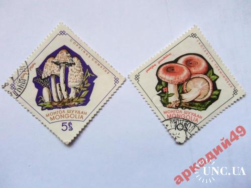 марки-Монголия с 1гр 1979 год(А1) грибы 2 марки
