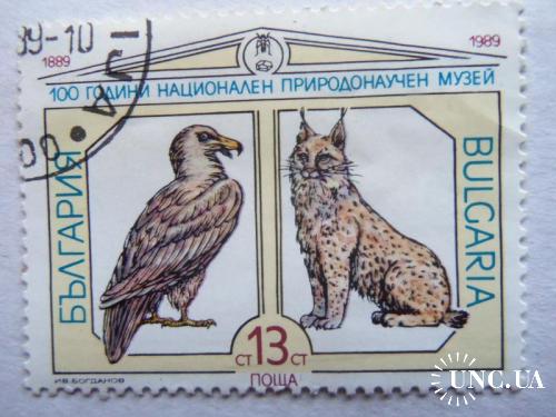 марки- с 1 гр Болгария--(А2) - гашеные-1989г Фауна
