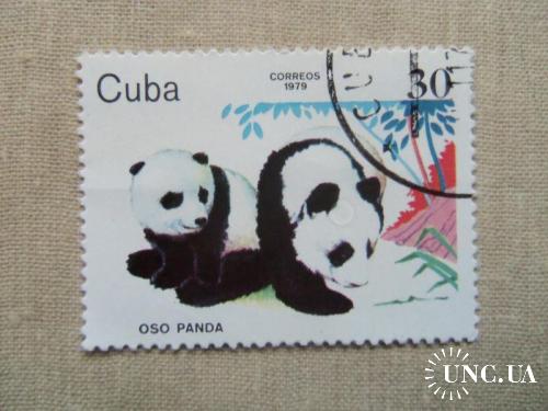 марки- с 1 гр Куба--(А3) - гашеные 1979 год фауна-Панды
