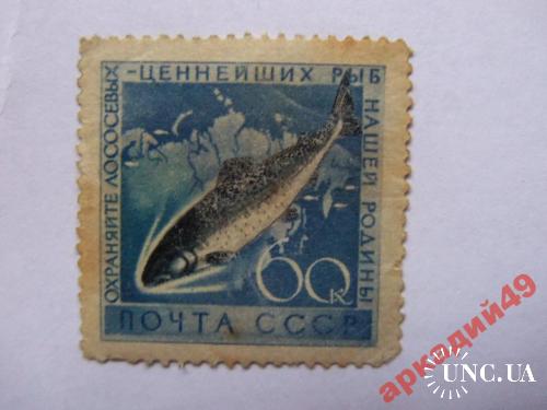 марки-СССР от 1гр 1960--(к8) фауна
