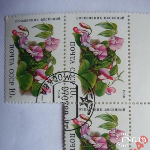 марки-СССР с 1 гр 1988г-флора
