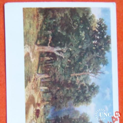открытки(пейзаж) антикварные-худ Егорнов
