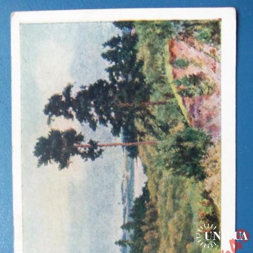 открытки(пейзаж) антикварные-худ Шибнев1955г
