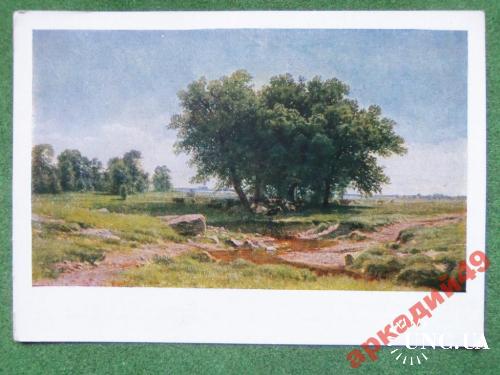 открытки(пейзаж) антикварные-худ Шишкин-1959г
