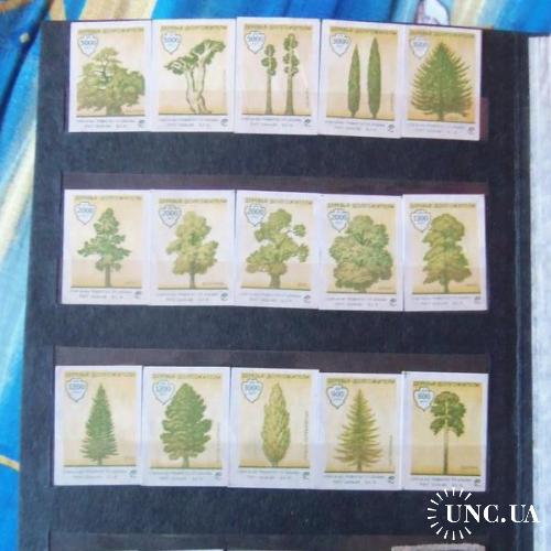 спичечные этикетки (А1)-флора-деревья долгожители-20шт
